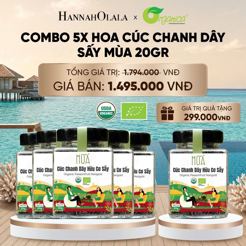  HOA CÚC CHANH DÂY SẤY MÙA 20 GR - DEAL 19 