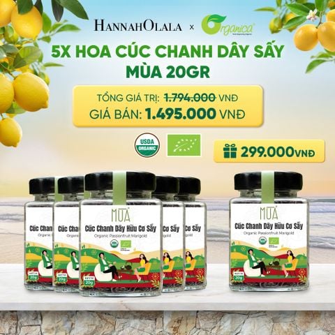  HOA CÚC CHANH DÂY SẤY MÙA 20GR - DEAL 19 