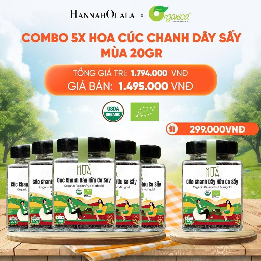  HOA CÚC CHANH DÂY SẤY MÙA 20 GR - DEAL 19 