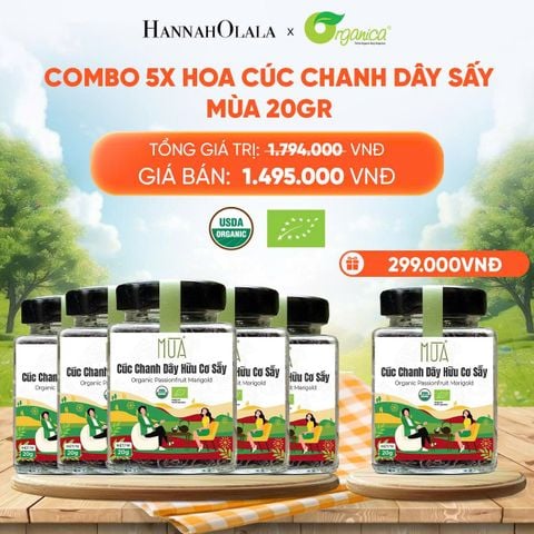  HOA CÚC CHANH DÂY SẤY MÙA 20 GR - DEAL 19 