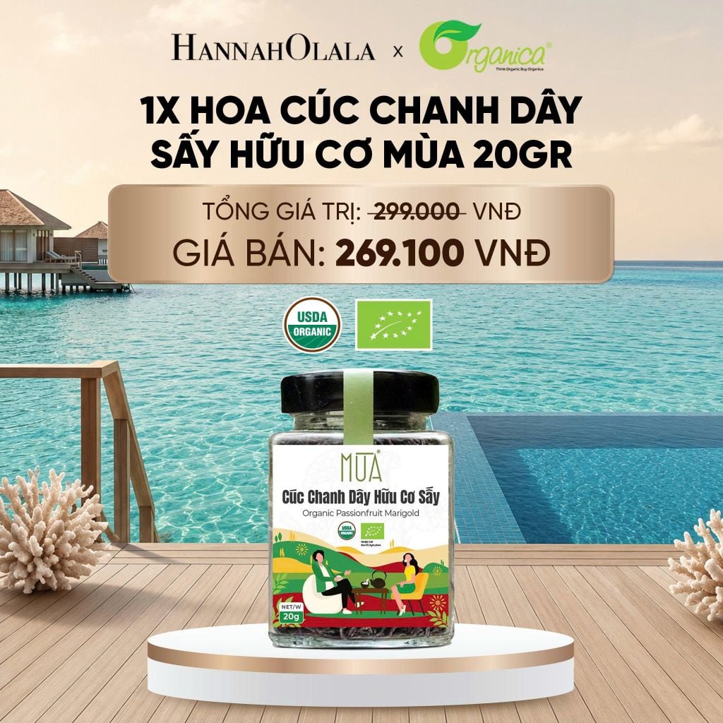  HOA CÚC CHANH DÂY SẤY MÙA 20 GR - DEAL 19 