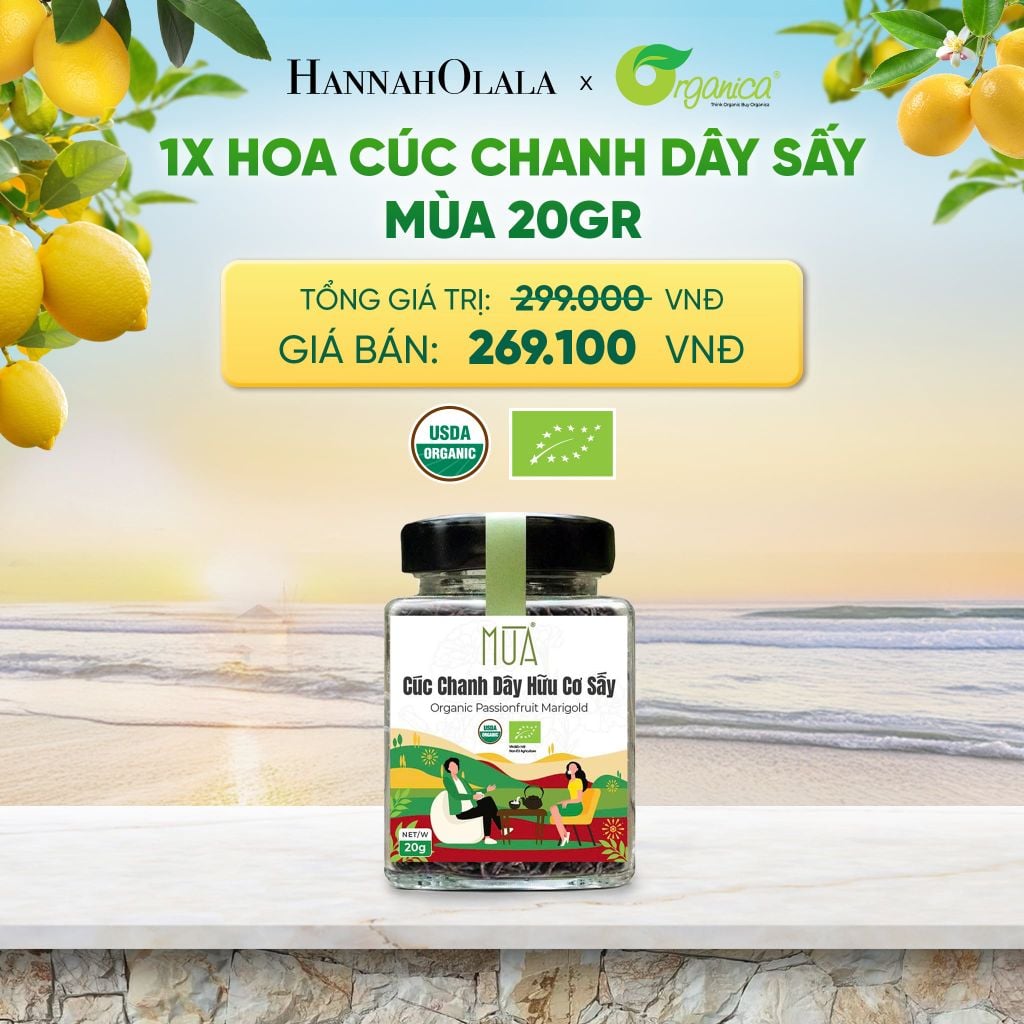  HOA CÚC CHANH DÂY SẤY MÙA 20GR - DEAL 19 