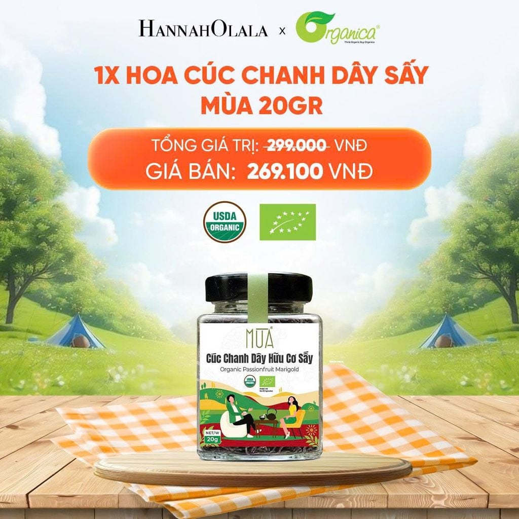  HOA CÚC CHANH DÂY SẤY MÙA 20 GR - DEAL 19 