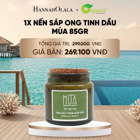  NẾN SÁP ONG TINH DẦU MÙA 85GR - DEAL 20 