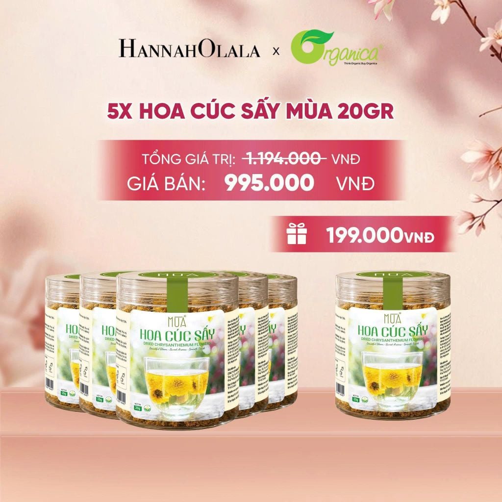  HOA CÚC SẤY MÙA 20 GR - A93 