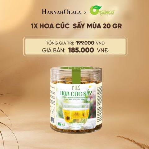  HOA CÚC SẤY MÙA 20 GR - DEAL 21 - E96 