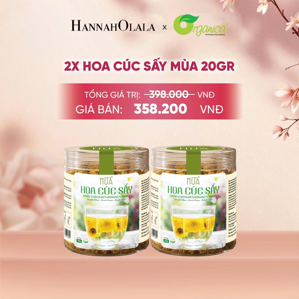  HOA CÚC SẤY MÙA 20 GR - A93 
