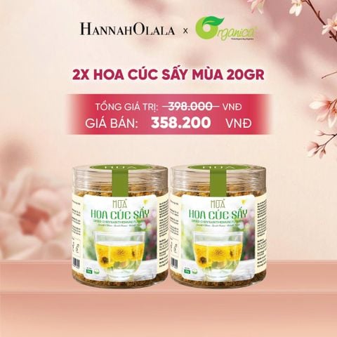  HOA CÚC SẤY MÙA 20 GR - A93 