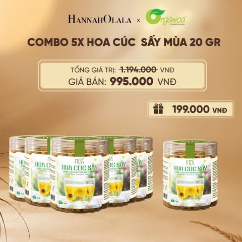  HOA CÚC SẤY MÙA 20 GR - DEAL 21 - E96 