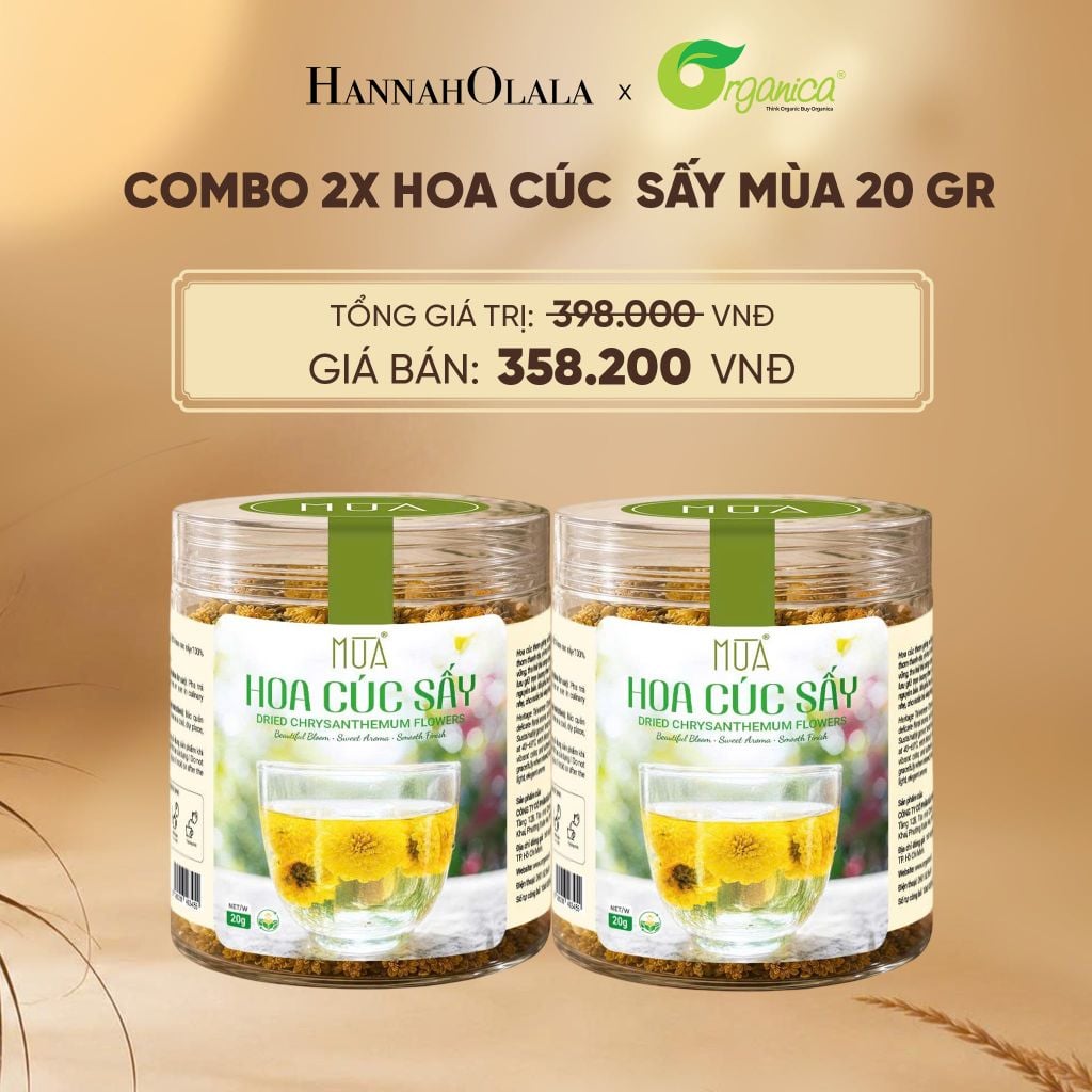  HOA CÚC SẤY MÙA 20 GR - DEAL 21 