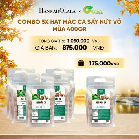  HẠT MẮC CA SẤY NỨT VỎ MÙA 400GR - E3 
