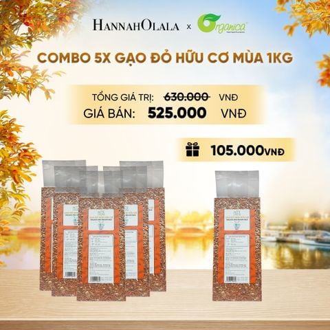  GẠO ĐỎ HỮU CƠ MÙA 1KG - E5 