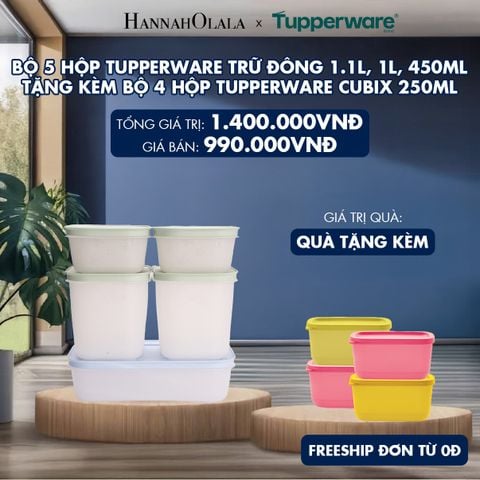  BỘ 5 HỘP TUPPERWARE TRỮ ĐÔNG 1.1L, 1L, 450ML - TẶNG KÈM BỘ 4 HỘP TUPPERWARE TRỮ MÁT CUBIX 250ML 