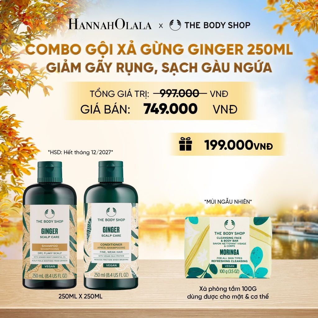  COMBO CHĂM TÓC DÀY PHỒNG, GIẢM GÃY RỤNG, SẠCH GÀU NGỨA GINGER 250ML - DẦU GỘI X DẦU XẢ - E719 