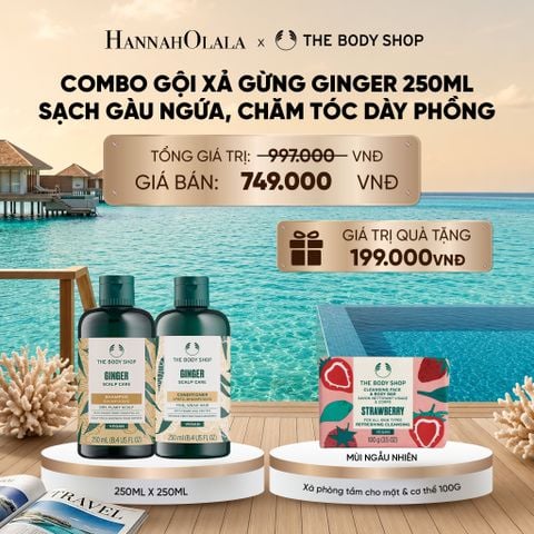  COMBO CHĂM TÓC DÀY PHỒNG, GIẢM GÃY RỤNG, SẠCH GÀU NGỨA GINGER 250ML - DẦU GỘI X DẦU XẢ_ D542 