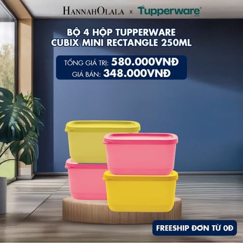  BỘ 4 HỘP TUPPERWARE TRỮ KHÔ VÀ MÁT CUBIX MINI RECTANGLE 250ML 