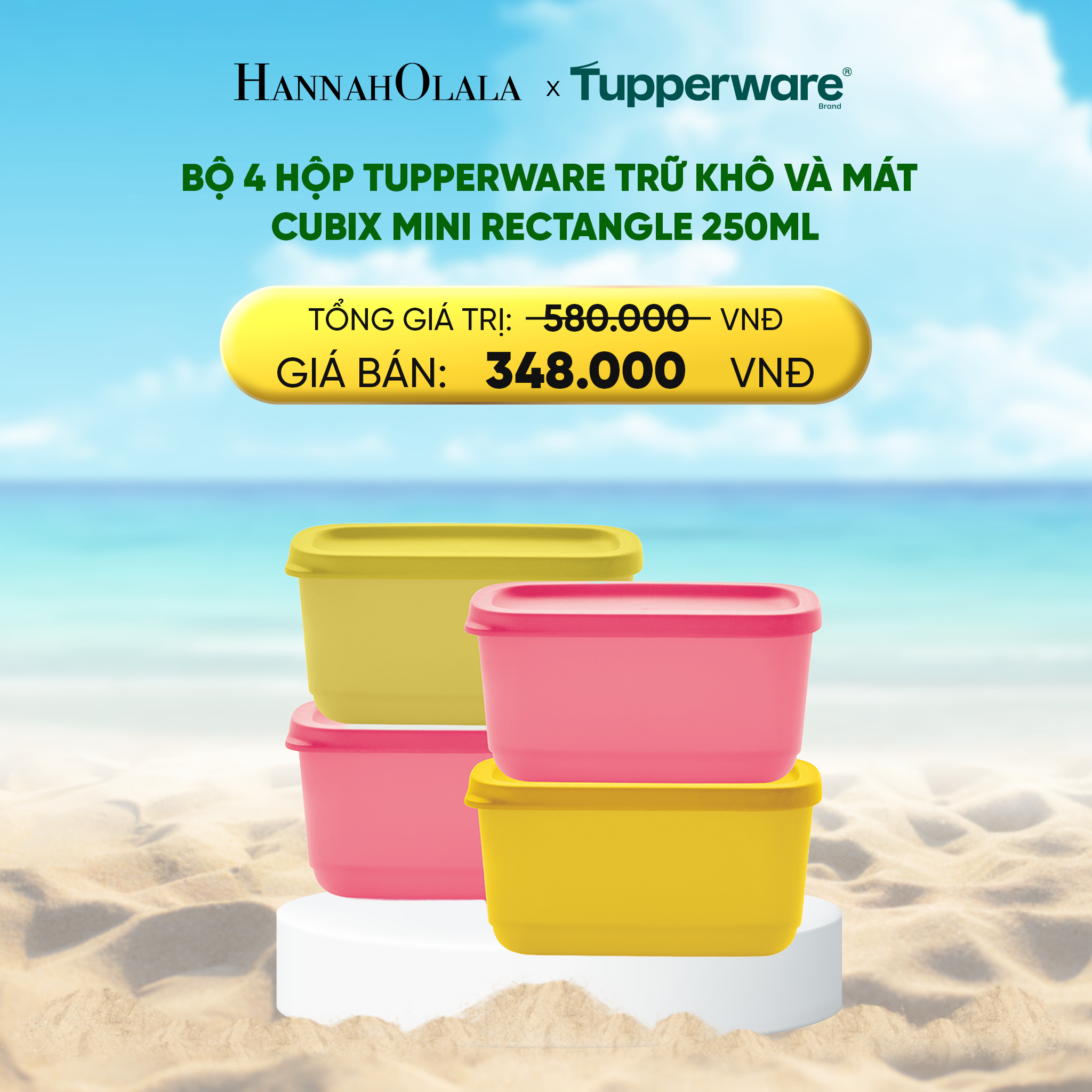 Bộ 4 Hộp Tupperware Trữ Khô Và Mát Cubix Mini Rectangle 250ml
