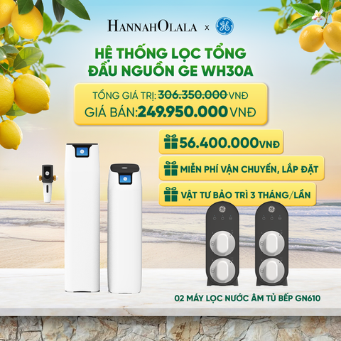  HỆ THỐNG LỌC TỔNG ĐẦU NGUỒN GE WH30A - DEAL 4 