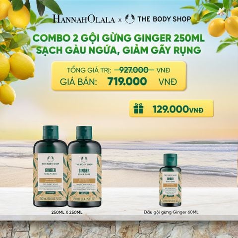  COMBO CHĂM TÓC DÀY PHỒNG, GIẢM GÃY RỤNG, SẠCH GÀU NGỨA GINGER 250ML - 2X DẦU GỘI - A484 