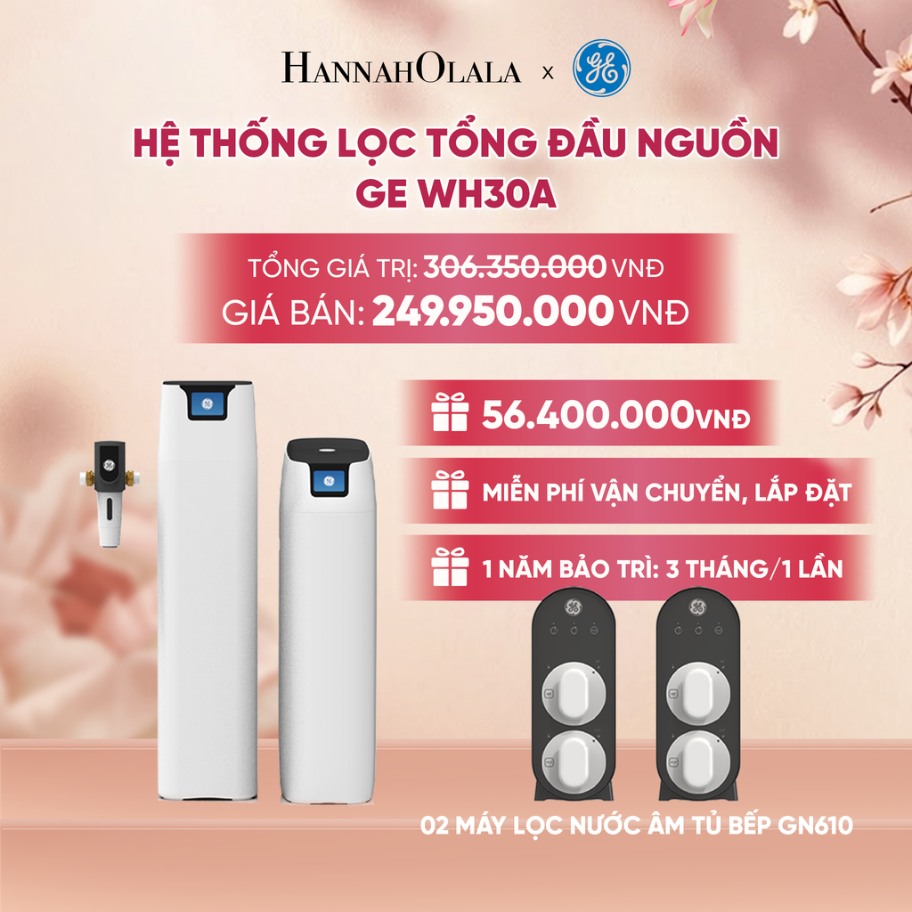  HỆ THỐNG LỌC TỔNG ĐẦU NGUỒN GE WH30A - DEAL 4 - A622 