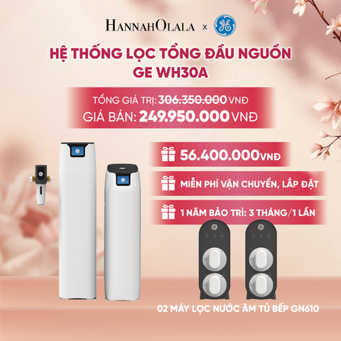  HỆ THỐNG LỌC TỔNG ĐẦU NGUỒN GE WH30A - DEAL 4 - A622 