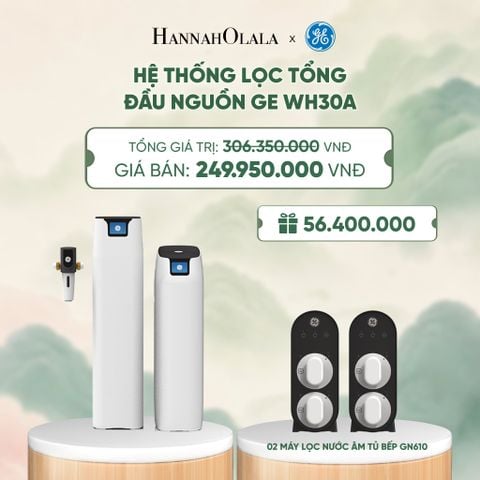  HỆ THỐNG LỌC TỔNG ĐẦU NGUỒN GE WH30A - DEAL 4 - A1990 