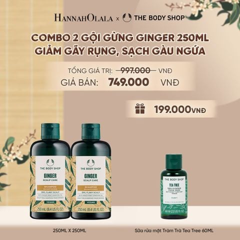  COMBO CHĂM TÓC DÀY PHỒNG, GIẢM GÃY RỤNG, SẠCH GÀU NGỨA GINGER 250ML - 2X DẦU GỘI - A2302 