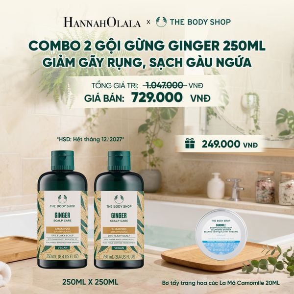  COMBO CHĂM TÓC DÀY PHỒNG, GIẢM GÃY RỤNG, SẠCH GÀU NGỨA GINGER 250ML - 2X DẦU GỘI - M04 