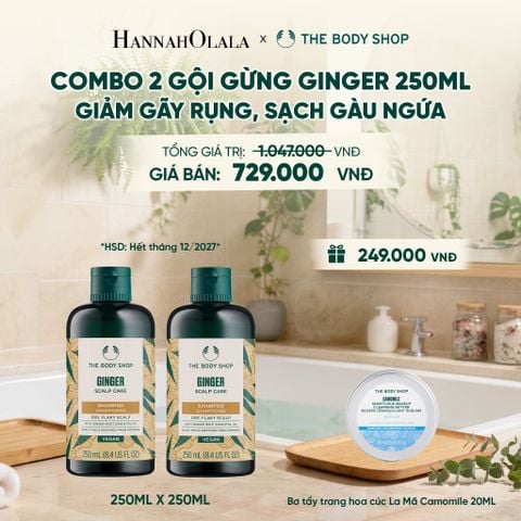  COMBO CHĂM TÓC DÀY PHỒNG, GIẢM GÃY RỤNG, SẠCH GÀU NGỨA GINGER 250ML - 2X DẦU GỘI - M04 