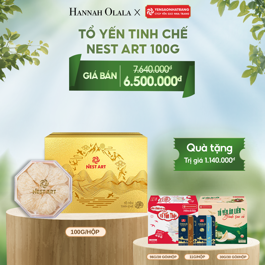  DEAL 4: TỔ YẾN TINH CHẾ NEST ART - 100G 