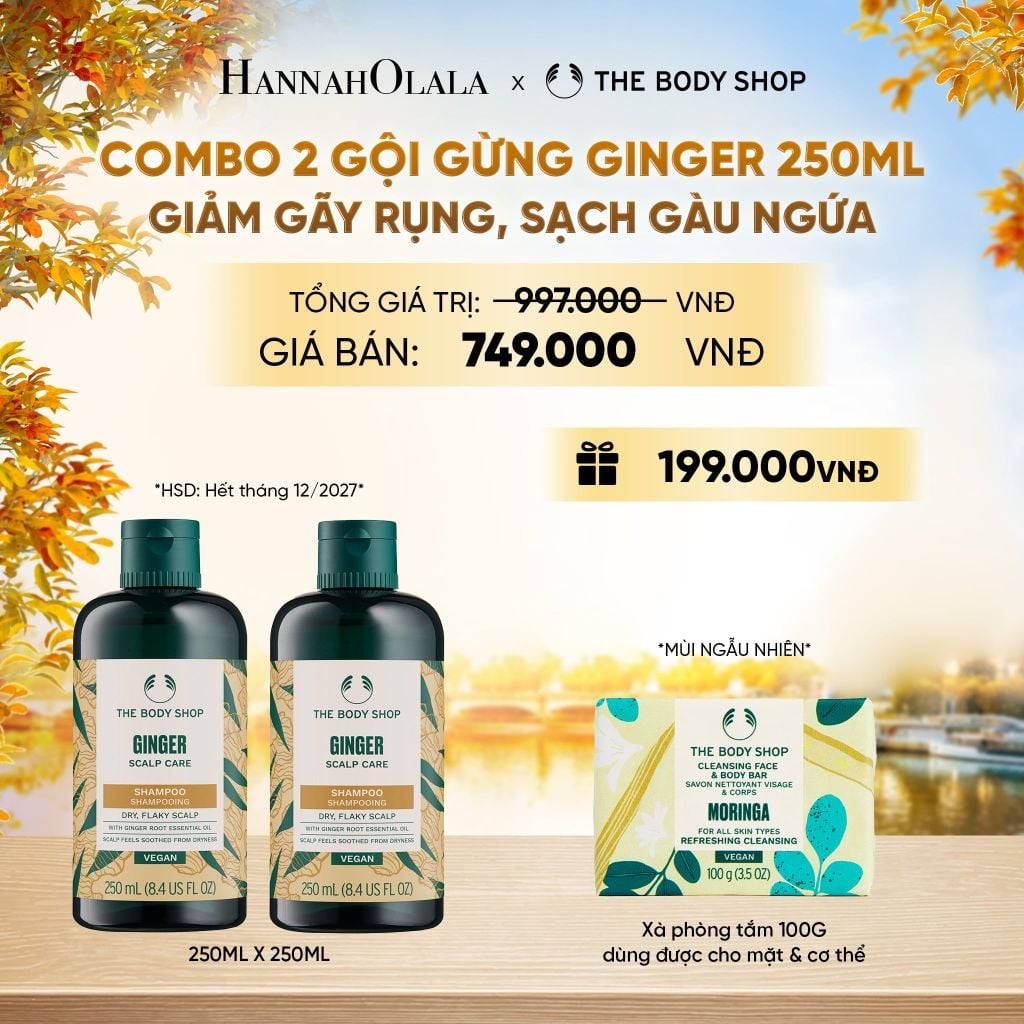  COMBO CHĂM TÓC DÀY PHỒNG, GIẢM GÃY RỤNG, SẠCH GÀU NGỨA GINGER 250ML - 2X DẦU GỘI - E720 