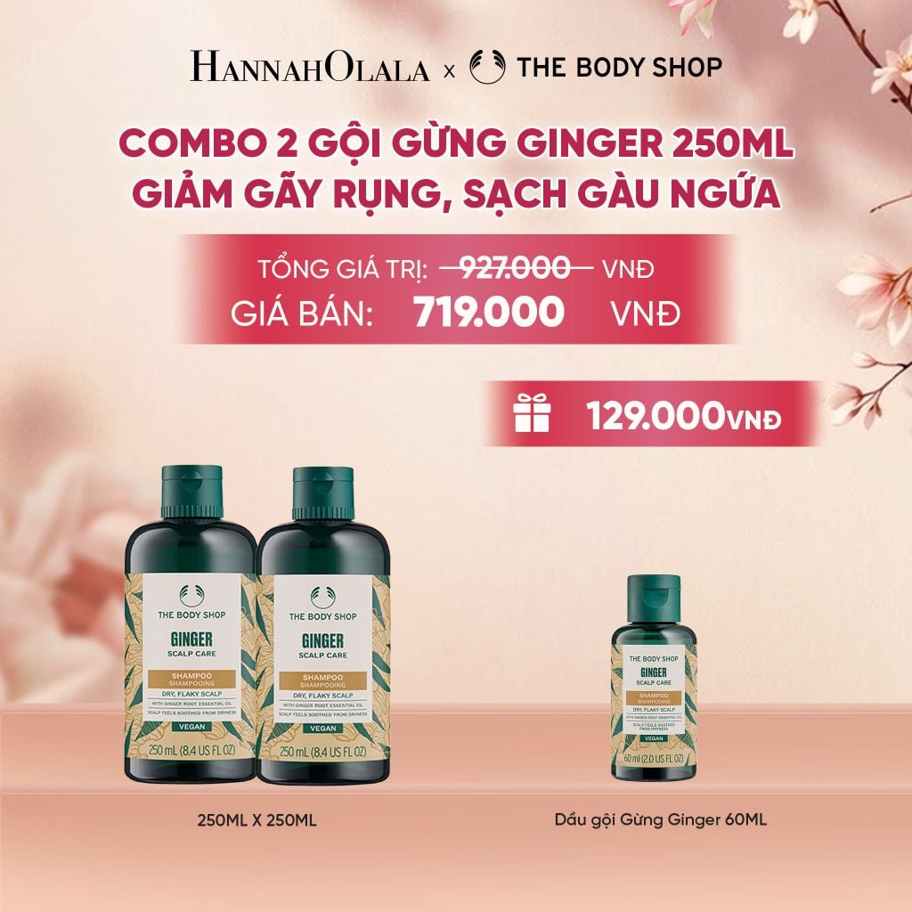  COMBO CHĂM TÓC DÀY PHỒNG, GIẢM GÃY RỤNG, SẠCH GÀU NGỨA GINGER 250ML - 2X DẦU GỘI 