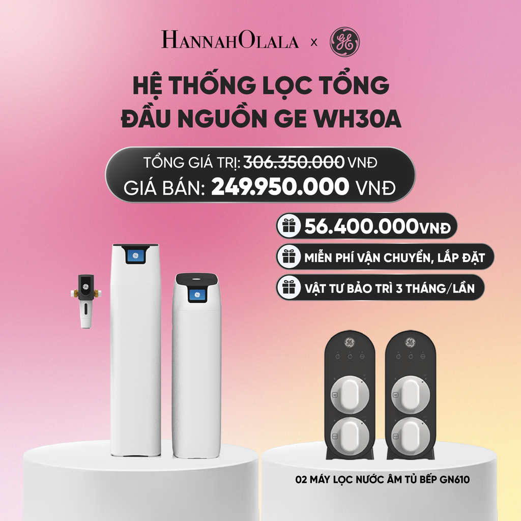  HỆ THỐNG LỌC TỔNG ĐẦU NGUỒN GE WH30A - DEAL 4_A1508 