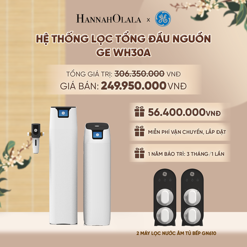  HỆ THỐNG LỌC TỔNG ĐẦU NGUỒN GE WH30A - DEAL 4 - A2156 