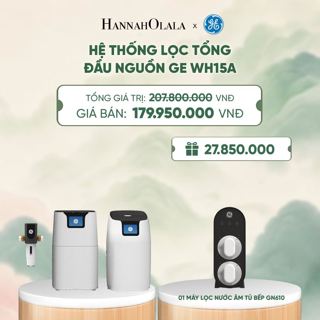  HỆ THỐNG LỌC TỔNG ĐẦU NGUỒN GE WH15A - DEAL 5 - A1991 