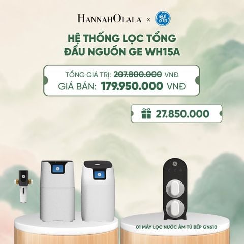  HỆ THỐNG LỌC TỔNG ĐẦU NGUỒN GE WH15A - DEAL 5 - A1991 