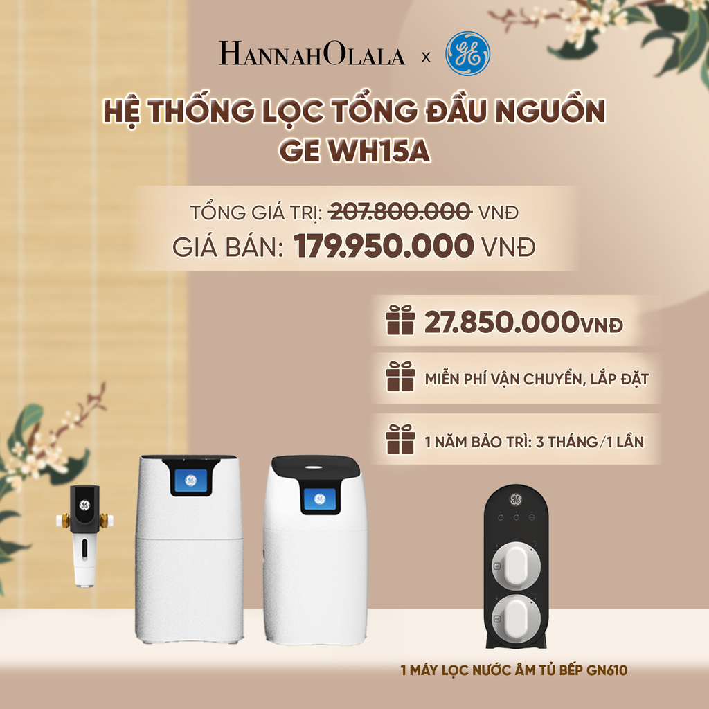  HỆ THỐNG LỌC TỔNG ĐẦU NGUỒN GE WH15A - DEAL 5 - A2157 