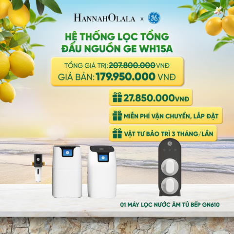  HỆ THỐNG LỌC TỔNG ĐẦU NGUỒN GE WH15A - DEAL 5 