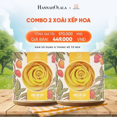  COMBO 2 XOÀI XẾP HOA 500G - DEAL 6: 