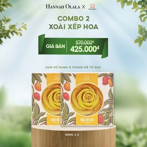  E35_DEAL 6: COMBO 2 XOÀI XẾP HOA 500G 