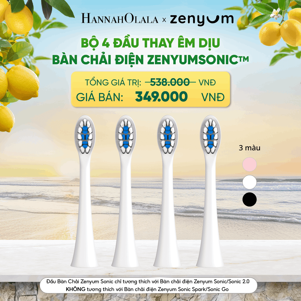  BỘ 4 ĐẦU BÀN CHẢI ZENYUM SONIC PHIÊN BẢN ÊM DỊU - A1578 