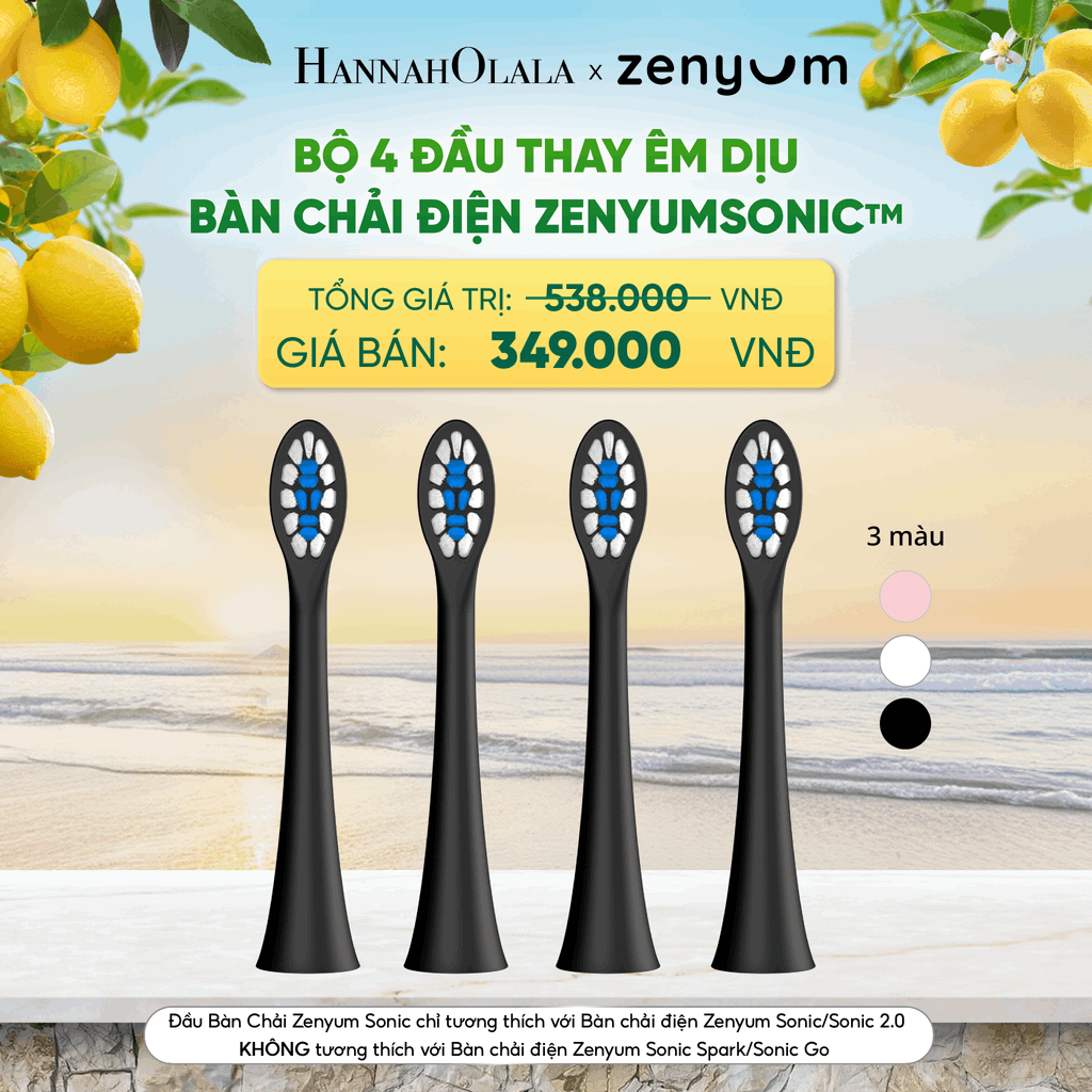  BỘ 4 ĐẦU BÀN CHẢI ZENYUM SONIC PHIÊN BẢN ÊM DỊU - A1578 