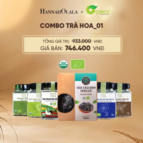  COMBO TRÀ HOA - E293 