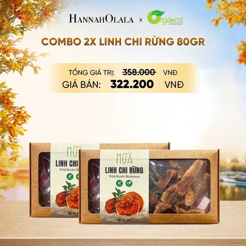  LINH CHI RỪNG 80G - E14 