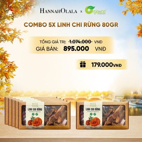  LINH CHI RỪNG 80G - E14 