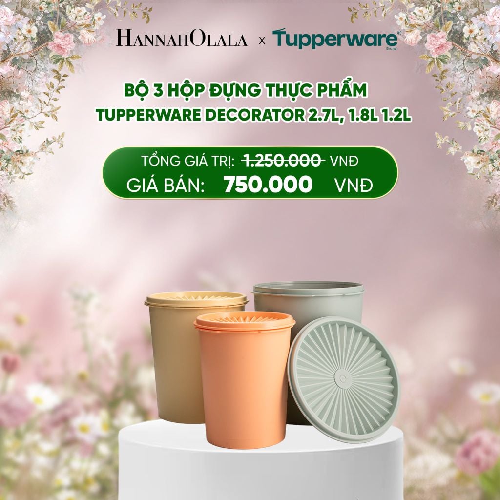  E225_DEAL 37 : BỘ 3 HỘP ĐỰNG THỰC PHẨM TUPPERWARE DECORATOR 2.7L, 1.8L 1.2L 