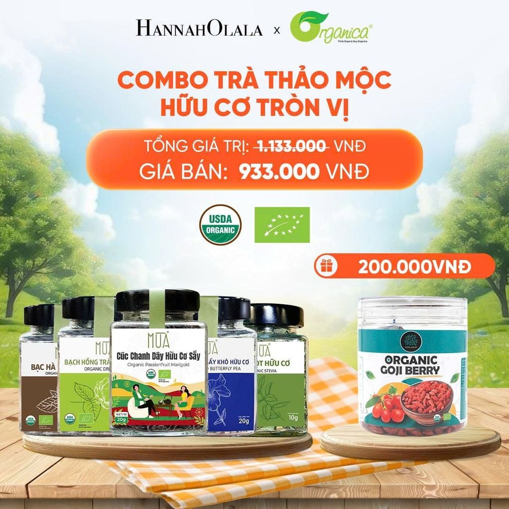  TRÀ THẢO MỘC HỮU CƠ TRÒN VỊ - DEAL 7 
