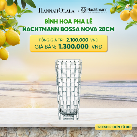  BÌNH HOA PHA LÊ NACHTMANN BOSSA NOVA - DEAL 8 