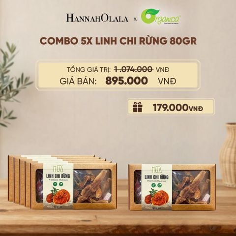 LINH CHI RỪNG 80G - D304 