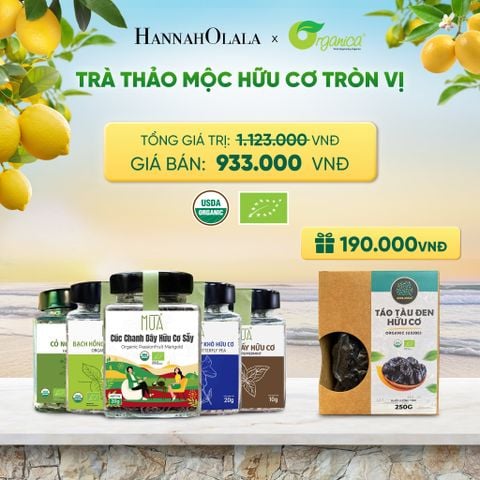  TRÀ THẢO MỘC HỮU CƠ TRÒN VỊ - DEAL 9 